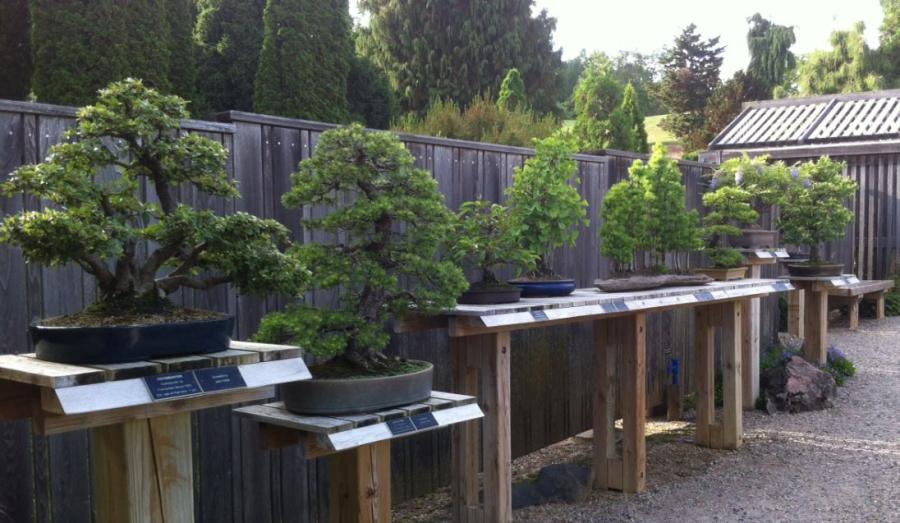 Attractions Infrastructure Planning and Facilities